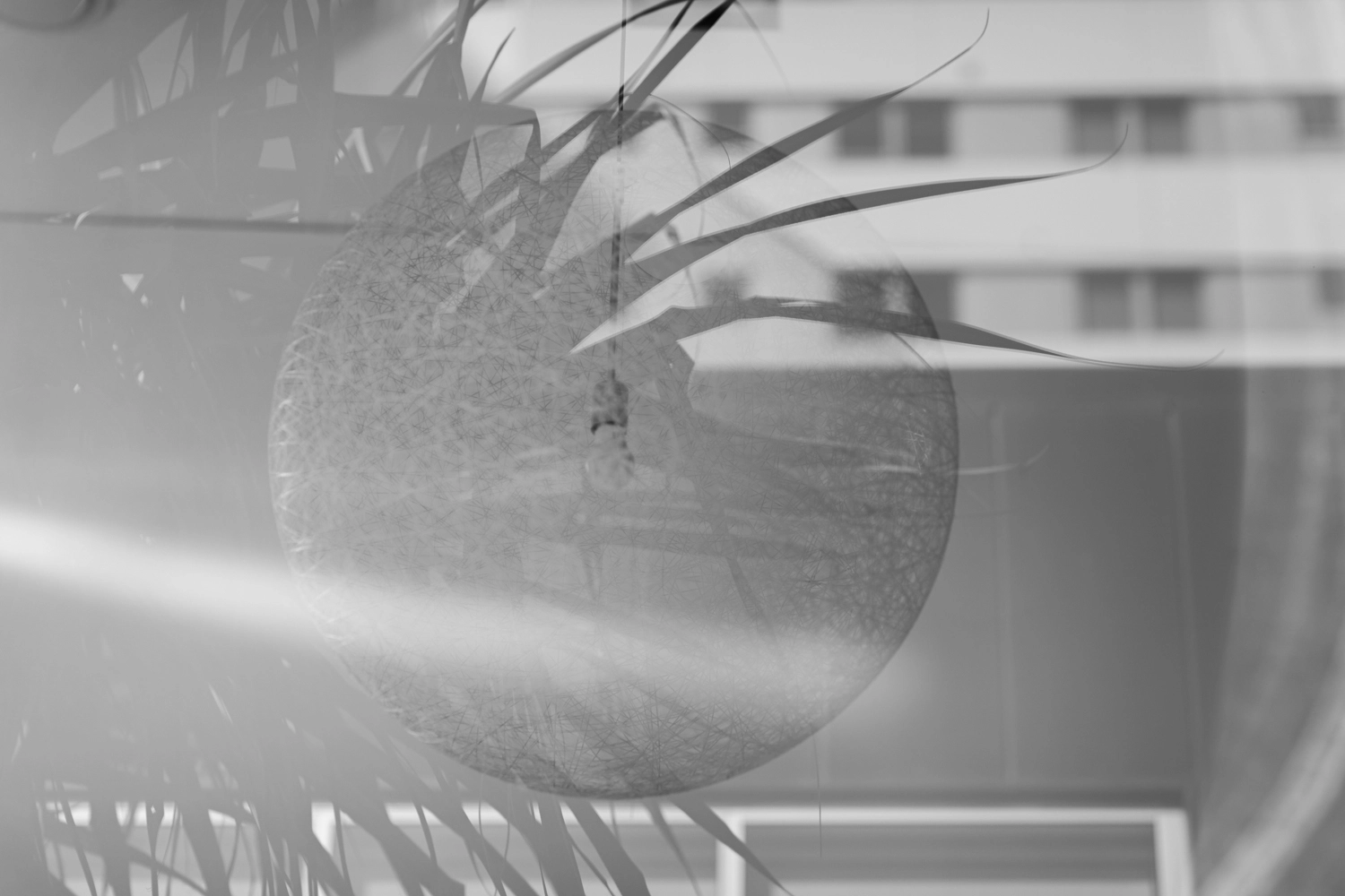 Decorative string pattern globe lampshade reflection.