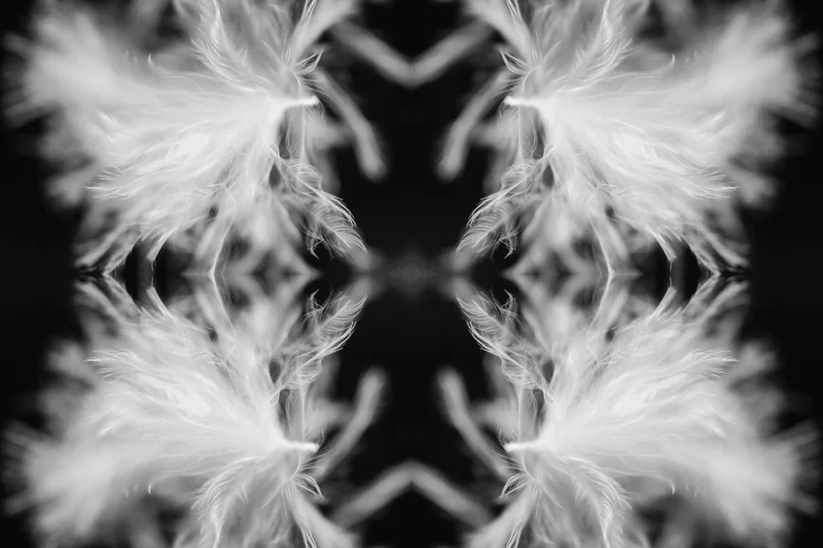 Feather pareidolia effect artwork.