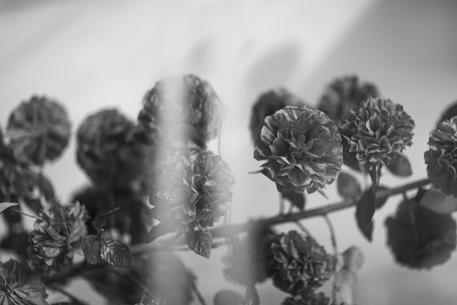 Silk carnations on a branch decoration.